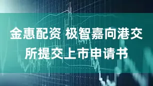 金惠配资 极智嘉向港交所提交上市申请书