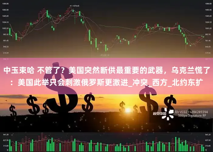 中玉束哈 不管了？美国突然断供最重要的武器，乌克兰慌了：美国此举只会刺激俄罗斯更激进_冲突_西方_北约东扩