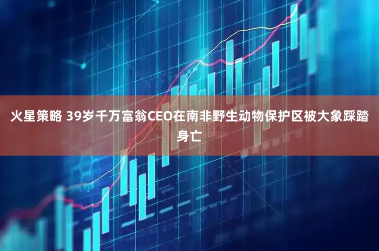 火星策略 39岁千万富翁CEO在南非野生动物保护区被大象踩踏身亡
