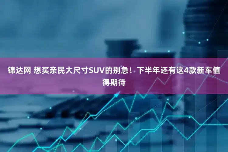 锦达网 想买亲民大尺寸SUV的别急！下半年还有这4款新车值得期待
