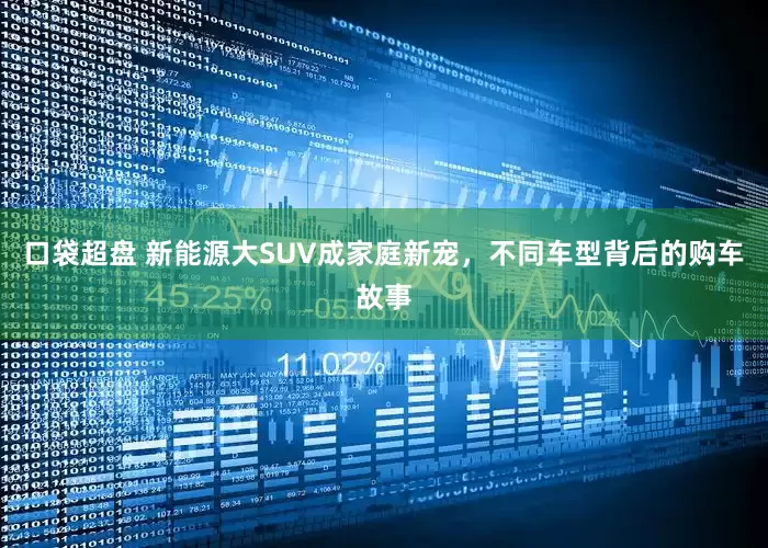口袋超盘 新能源大SUV成家庭新宠，不同车型背后的购车故事