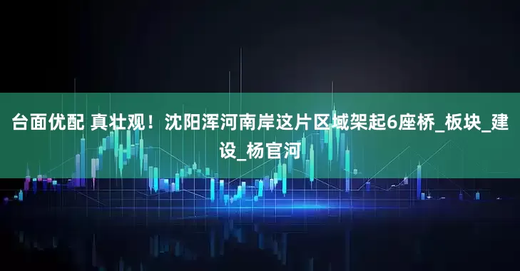 台面优配 真壮观！沈阳浑河南岸这片区域架起6座桥_板块_建设_杨官河